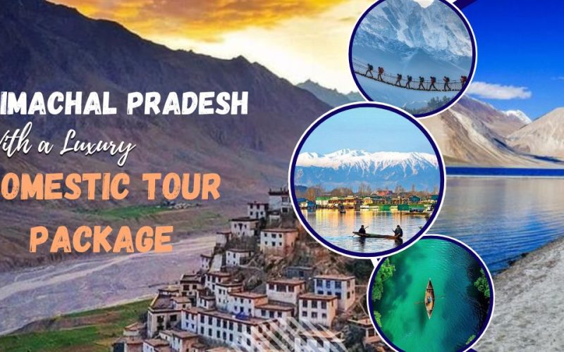 domestic tour package