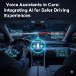voice assistant