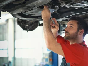 Ford Owners in Dubai 