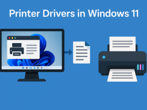 Set Up a New Printer on Windows 11