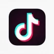 TikTok Download