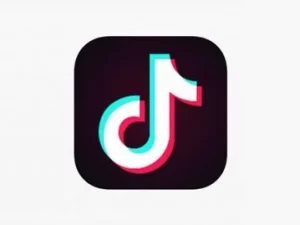 TikTok Download