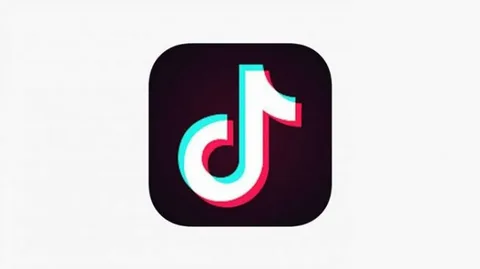 TikTok Download