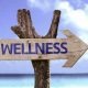 Wellness Trends