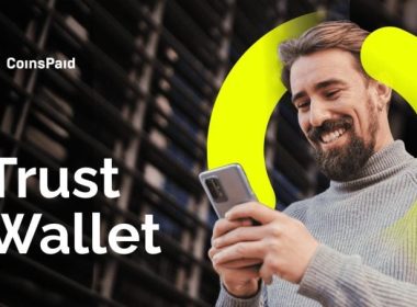 Trust Wallet Support in the USA