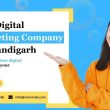 Digital Marketing Company in Chandigarh