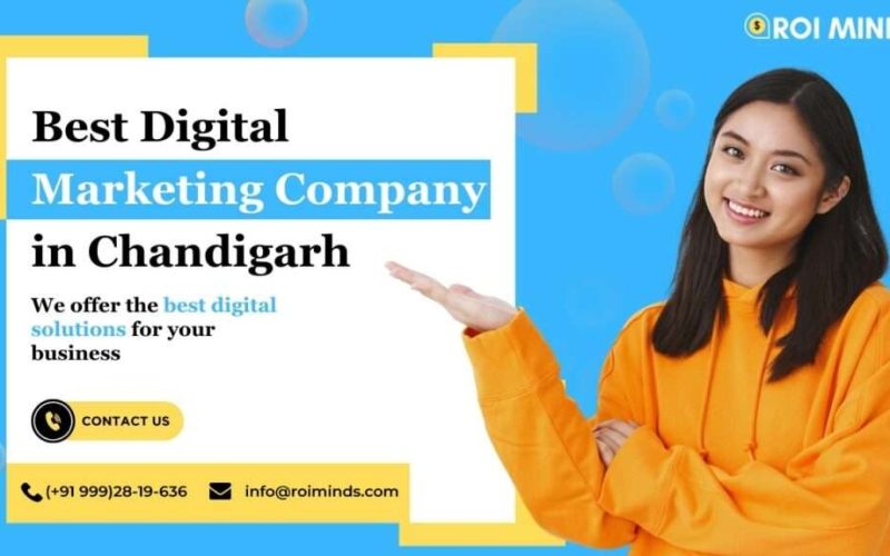 Digital Marketing Company in Chandigarh