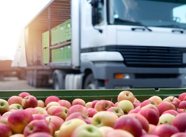 foods international market