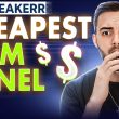 Cheapest SMM Panel for Social Media Growth