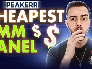 Cheapest SMM Panel for Social Media Growth