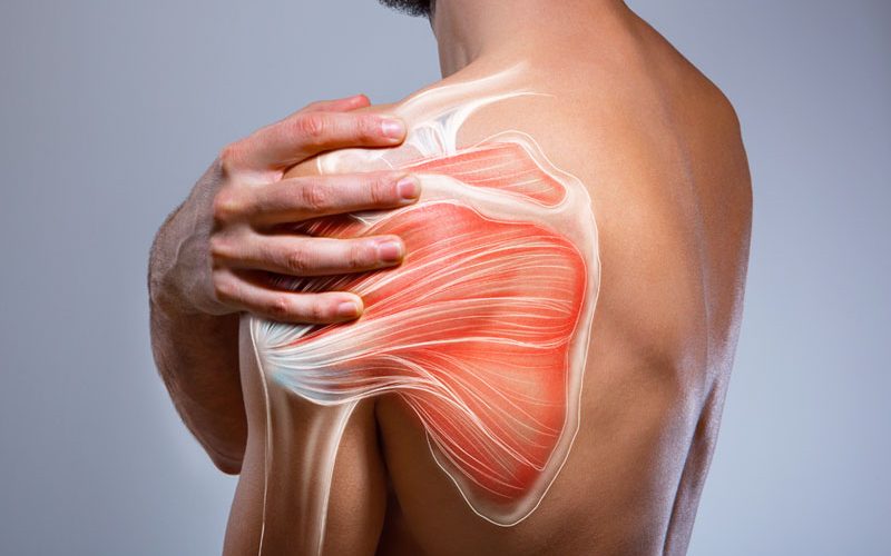 shoulder-replacement-surgery