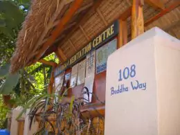 Yoga Retreats in Bali