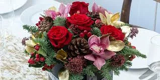 Christmas Flowers