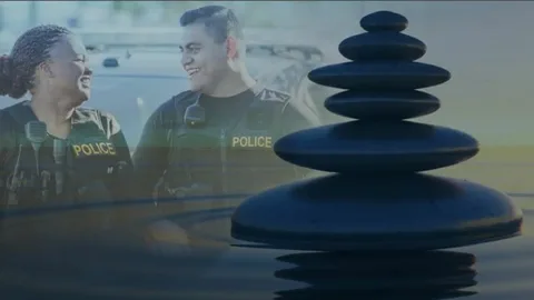 Support Systems in Policing