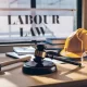 Labor Regulation in Kazakhstan