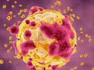 Tissue Lysates vs. Cell Lysates