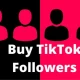Followers on TikTok
