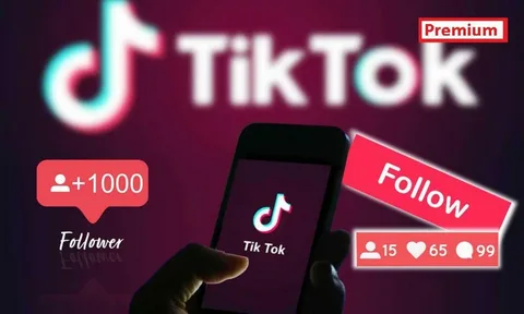 Followers on TikTok