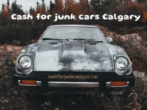 Junk Car