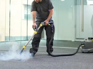 Carpet Cleaning Services