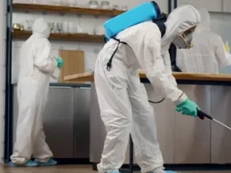 Pest control services