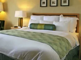 Quality Hotel Room