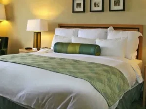 Quality Hotel Room