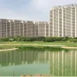 DLF Arbour