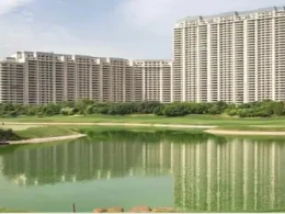 DLF Arbour
