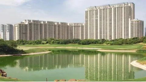 DLF Arbour