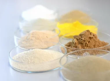 Industrial Enzyme production