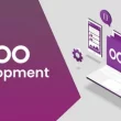 Odoo Development Services