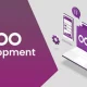 Odoo Development Services