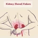 Chronic Kidney Disease
