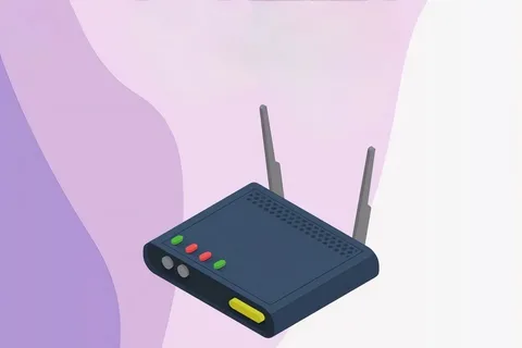 Roku IP address