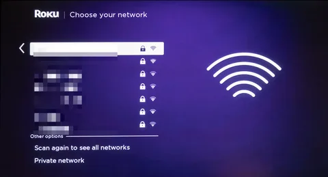 Roku IP address