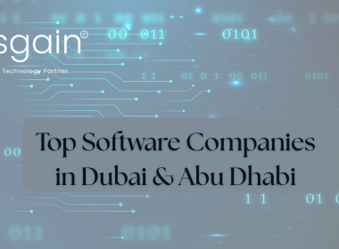 Top software companies in dubai & abu dhabi
