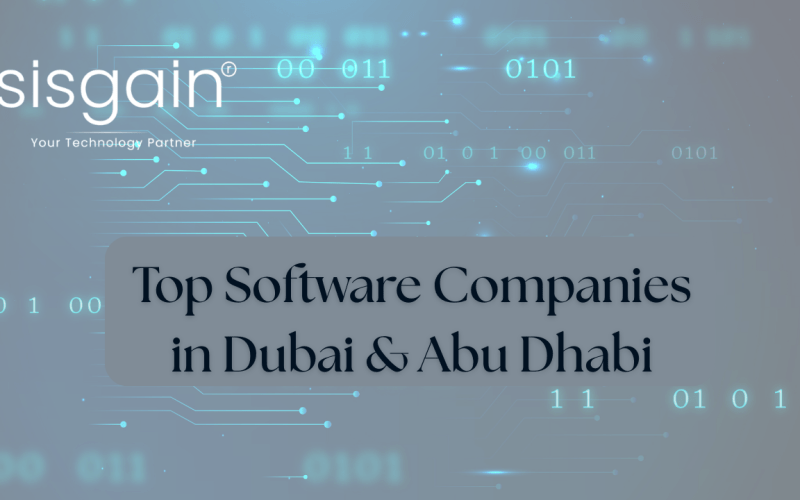Top software companies in dubai & abu dhabi