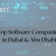 Top software companies in dubai & abu dhabi