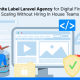 White Label Laravel Agency