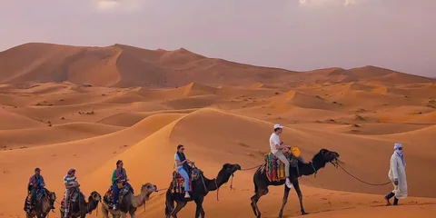 Camel ride