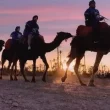Camel ride