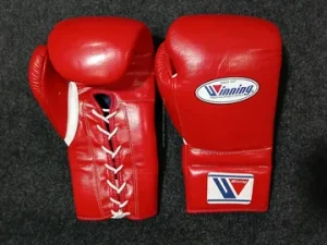 MMA Training Gloves