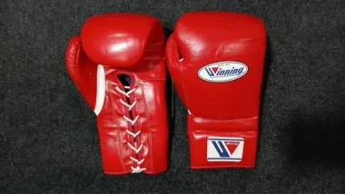 MMA Training Gloves