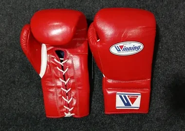 MMA Training Gloves