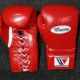 MMA Training Gloves