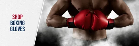 MMA Training Gloves