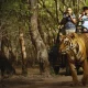 Wildlife Tour