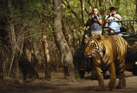 Wildlife Tour