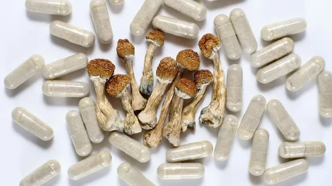 psilocybin mushrooms capsule